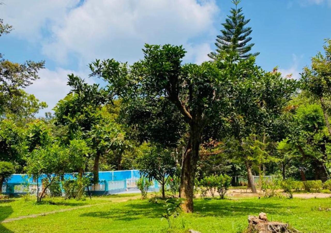 The Green Heaven Resort シギリヤ エクステリア 写真